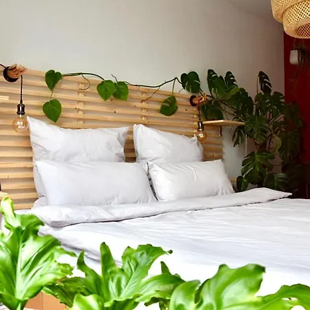Greenbnbs: Cozy Urban Jungle In The Centre *
