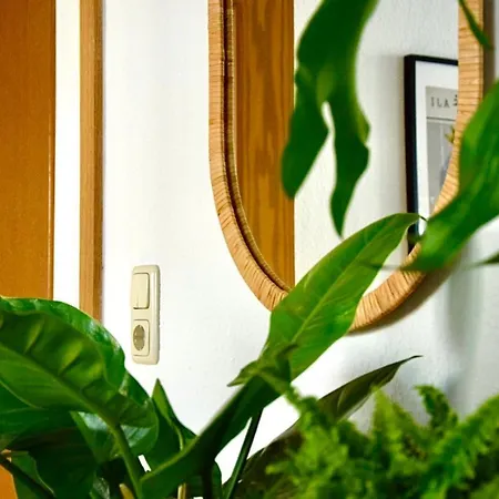 Greenbnbs: Cozy Urban Jungle In The Centre إسن