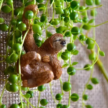 Greenbnbs: Cozy Urban Jungle In The Centre شقة *